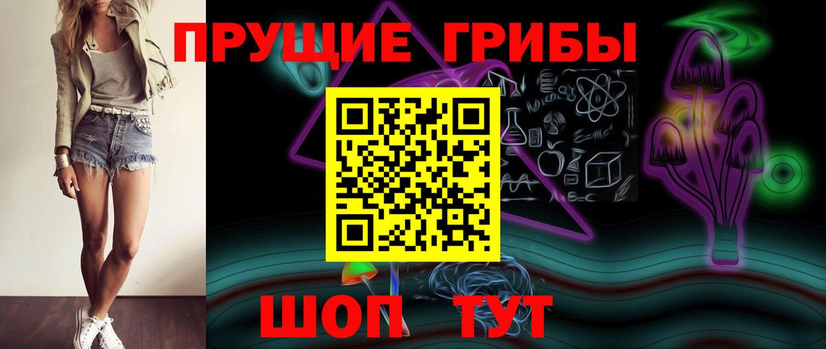 купить наркотик  Вход с VPN  Черкесск  Псилоцибиновые грибы Magic Shrooms 